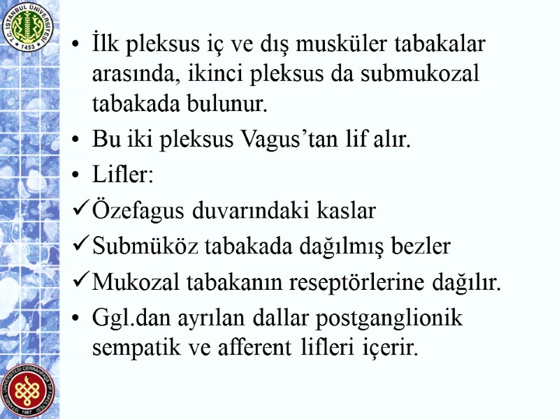 İlk pleksus iç ve dış musküler tabakalar arasında, ikinci pleksus da submukozal tabakada bulunur.